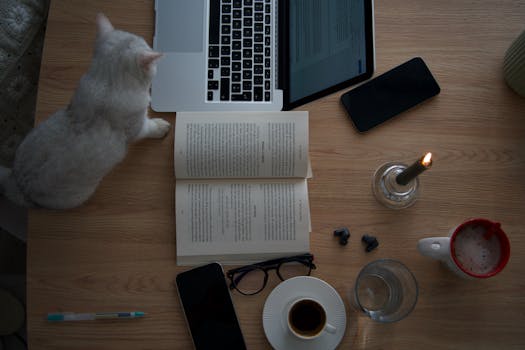13.000 empleos de Teletrabajo