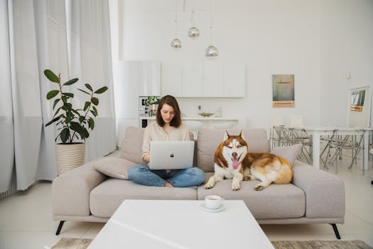 13.000 empleos de Teletrabajo