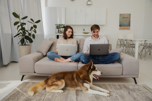 Teletrabajo ofertas de empleo en España